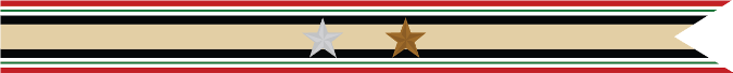 United States Navy Iraq Campaign Streamer With 1 Silver Star & 1 Bronze Star