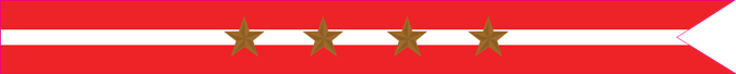 United States Navy Revolutionary War Campaign Streamer with 4 Bronze Stars