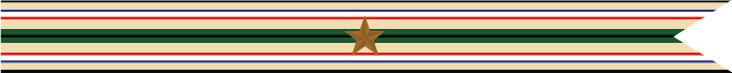 United States Navy Soutwest Asia Service Campaign Streamer with 1 Bronze Star