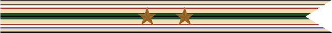 United States Navy Soutwest Asia Service Campaign Streamer with 2 Bronze Stars