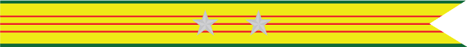 United States Navy Vietnam Service Campaign Streamer With 2 Silver Stars