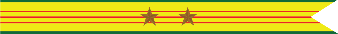 United States Navy Vietnam Service Campaign Streamer With 2 Bronze Stars