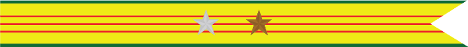 United States Navy Vietnam Service Campaign Streamer With 1 Silver Star & 1 Bronze Star